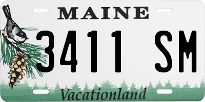 ME license plate 3411SM