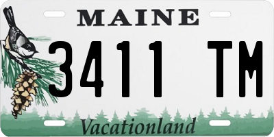 ME license plate 3411TM
