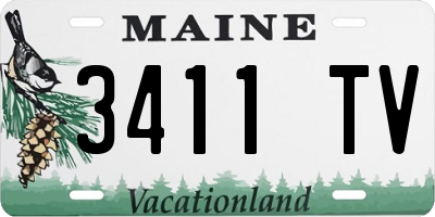 ME license plate 3411TV