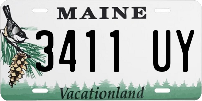 ME license plate 3411UY