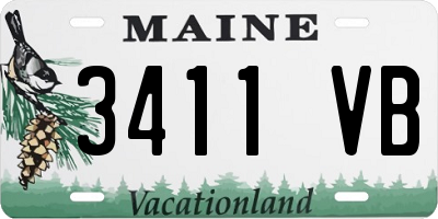 ME license plate 3411VB