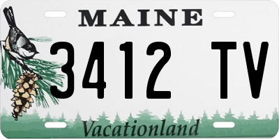 ME license plate 3412TV