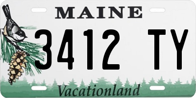 ME license plate 3412TY