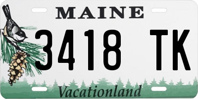ME license plate 3418TK