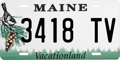 ME license plate 3418TV
