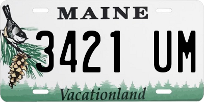 ME license plate 3421UM