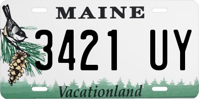 ME license plate 3421UY