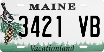 ME license plate 3421VB