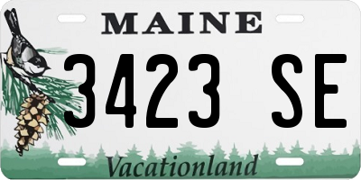 ME license plate 3423SE