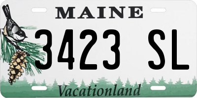 ME license plate 3423SL