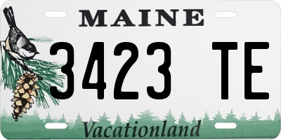 ME license plate 3423TE