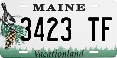 ME license plate 3423TF