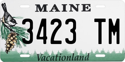 ME license plate 3423TM