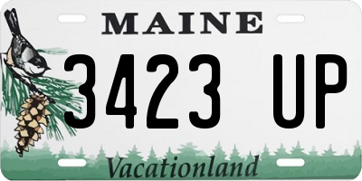 ME license plate 3423UP