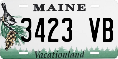 ME license plate 3423VB