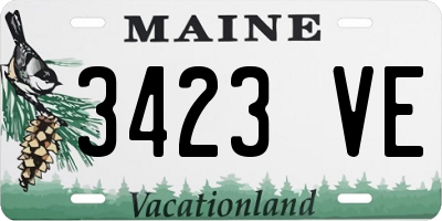 ME license plate 3423VE