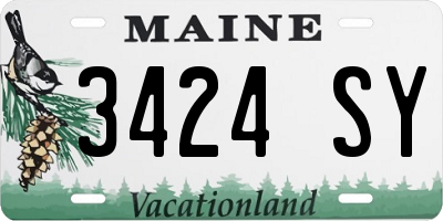 ME license plate 3424SY