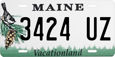 ME license plate 3424UZ