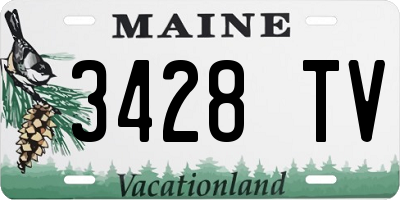 ME license plate 3428TV
