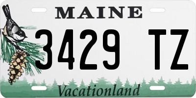 ME license plate 3429TZ