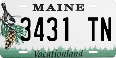 ME license plate 3431TN