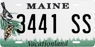 ME license plate 3441SS