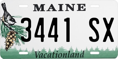 ME license plate 3441SX