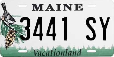 ME license plate 3441SY