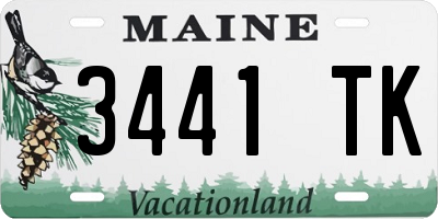 ME license plate 3441TK