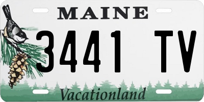 ME license plate 3441TV