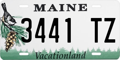 ME license plate 3441TZ
