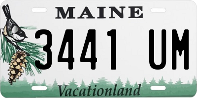 ME license plate 3441UM