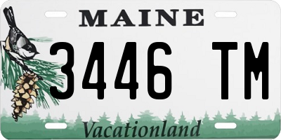 ME license plate 3446TM