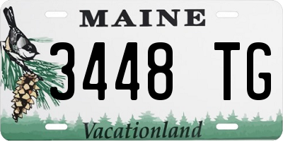 ME license plate 3448TG
