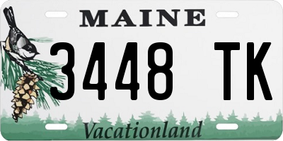 ME license plate 3448TK