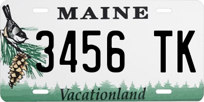ME license plate 3456TK