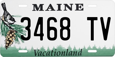 ME license plate 3468TV