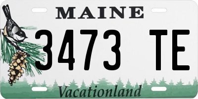 ME license plate 3473TE