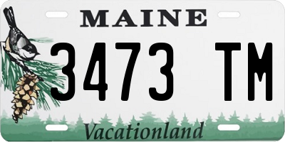 ME license plate 3473TM