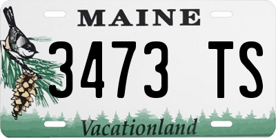 ME license plate 3473TS