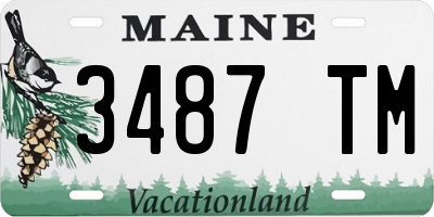 ME license plate 3487TM