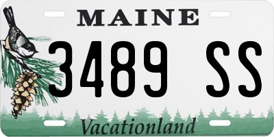 ME license plate 3489SS