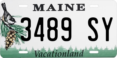 ME license plate 3489SY