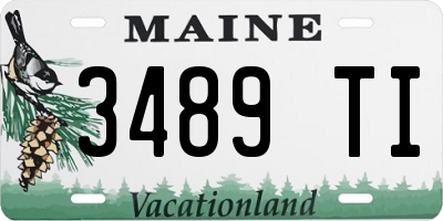 ME license plate 3489TI