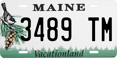 ME license plate 3489TM