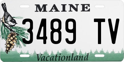 ME license plate 3489TV