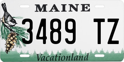 ME license plate 3489TZ
