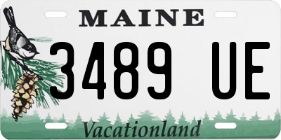 ME license plate 3489UE