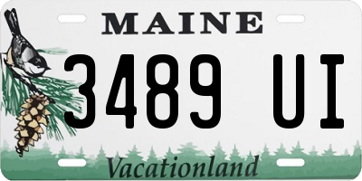 ME license plate 3489UI