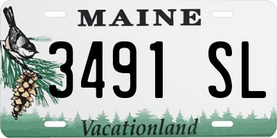 ME license plate 3491SL